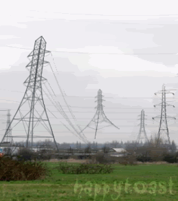 skipping pylons photo Pylons.gif
