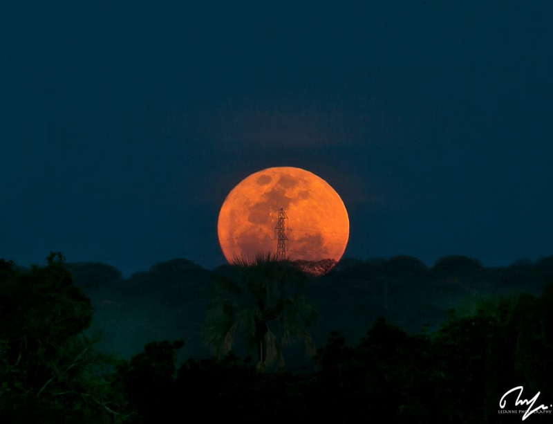 15094952_1256535321033715_5801548824606249064_n