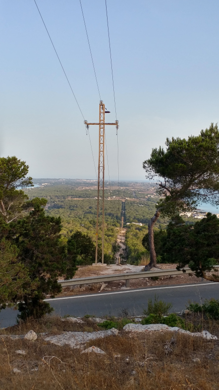 20170625_071711_HDR (1)