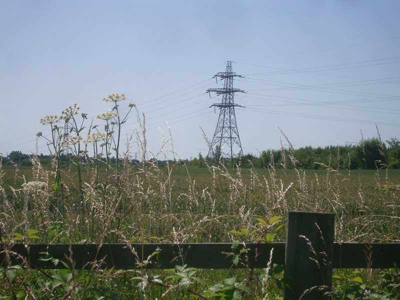 Pylon 2a 2