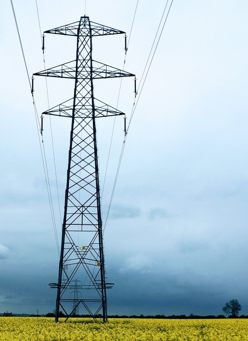 Thoroton Pylon Thoroton Pylon