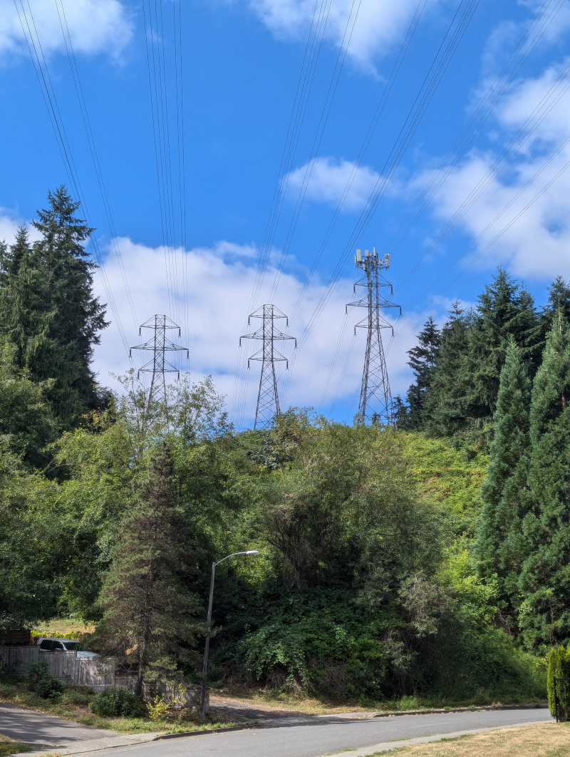 PXL_20240812_182442483